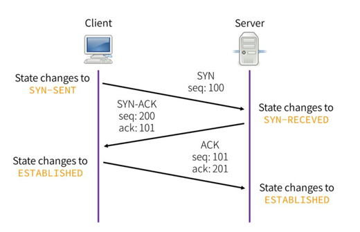 The Complete Guide to Network VAPT | Pristine InfoSolutions