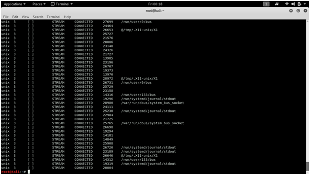 how to use nessus enum